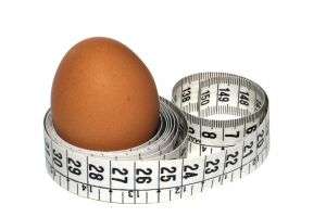 Huevos, la mejor opción para la Pérdida de Peso Corporal